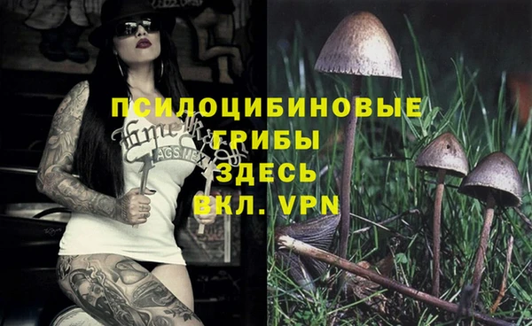 а пвп мука Баксан