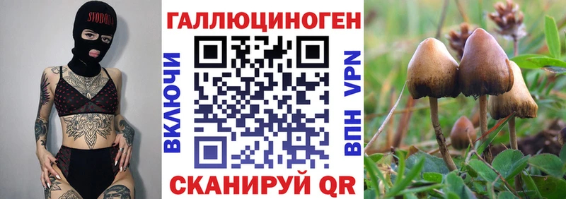 Галлюциногенные грибы мухоморы  Хасавюрт 